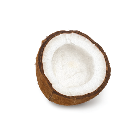 Coconut large